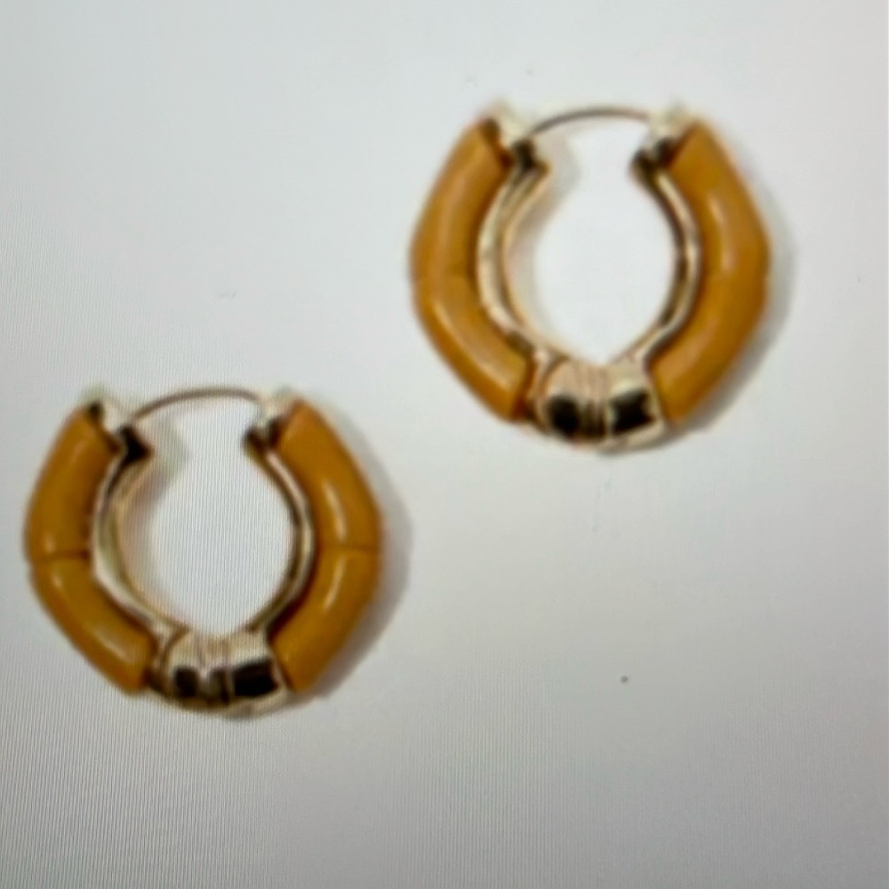 Lilly Pulitzer Earrings NWT